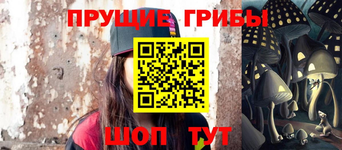 Камень-на-Оби  Псилоцибиновые грибы Psilocybine cubensis  Вход с VPN 